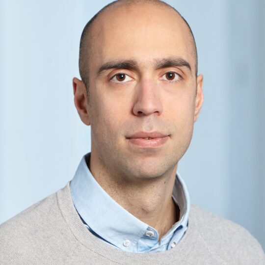 Assistenzprofessor am Departement Informationstechnologie und Elektrotechnik