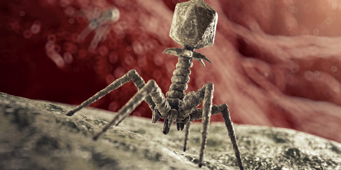 Phage 1000