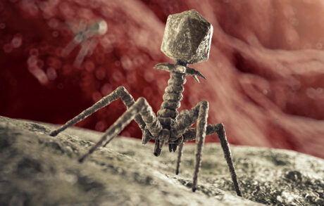 Phage 1000